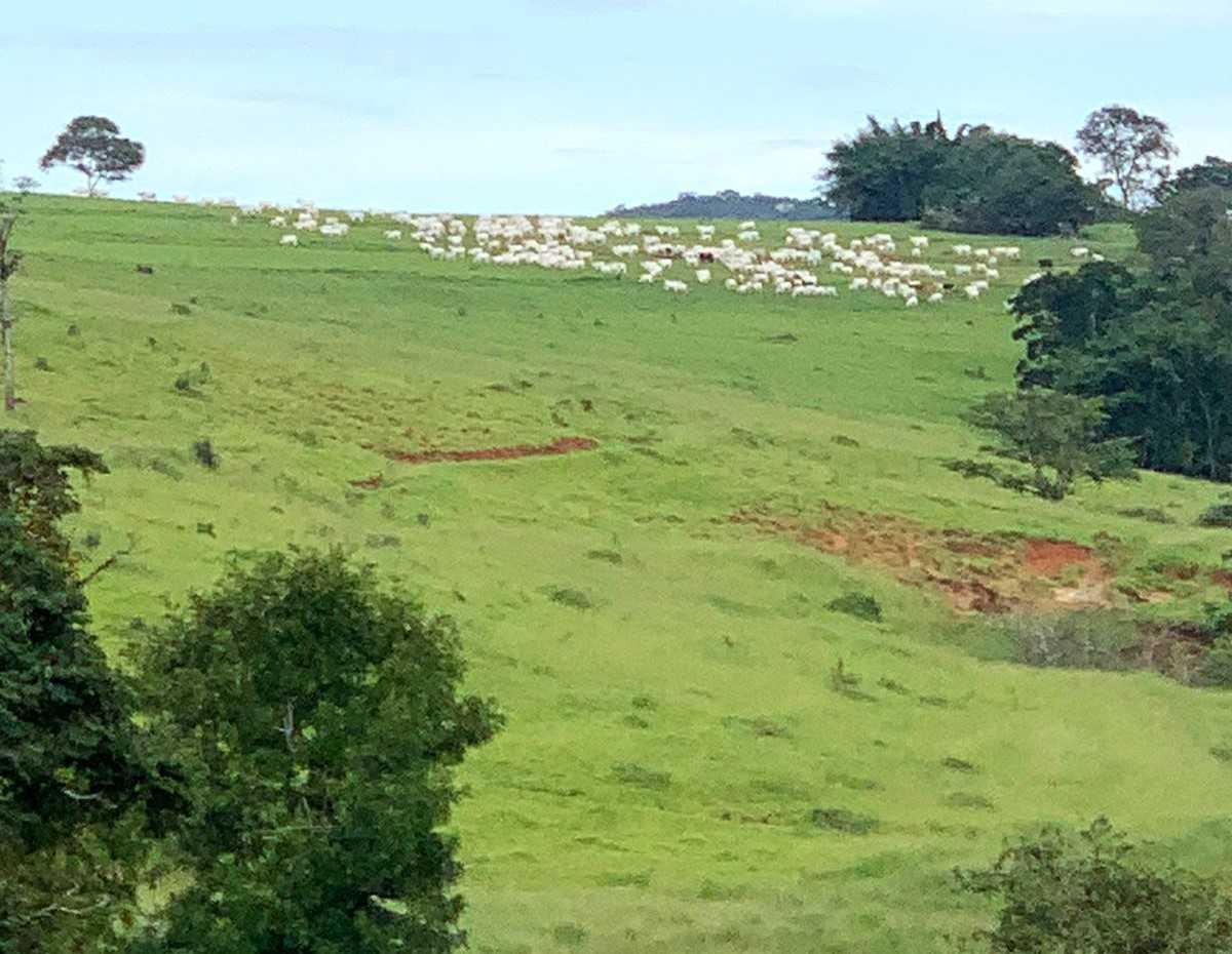 Fazenda, Zona Rural, 4 Quartos, 0 Vaga