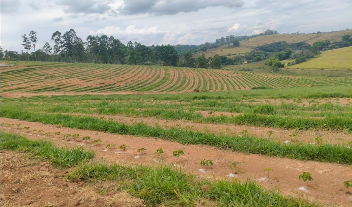 Fazenda, Zona Rural, 0 Quarto, 0 Vaga