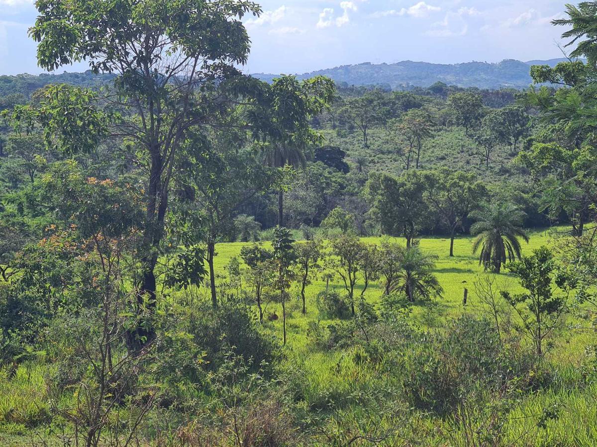 Lote, Novo Retiro, 0 Quarto, 0 Vaga