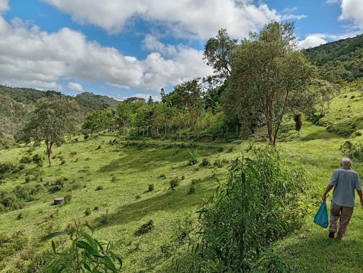 Fazenda, Centro, 3 Quartos, 10 Vagas, 1 Suíte