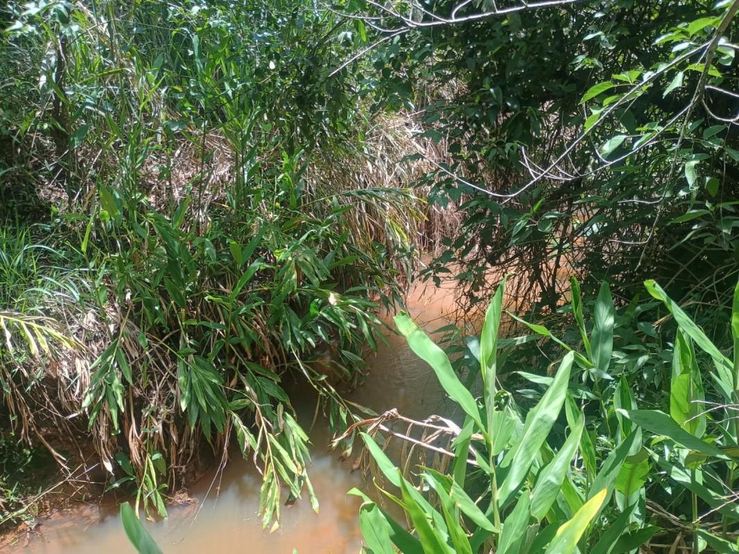 Fazenda, Centro, 0 Quarto, 0 Vaga