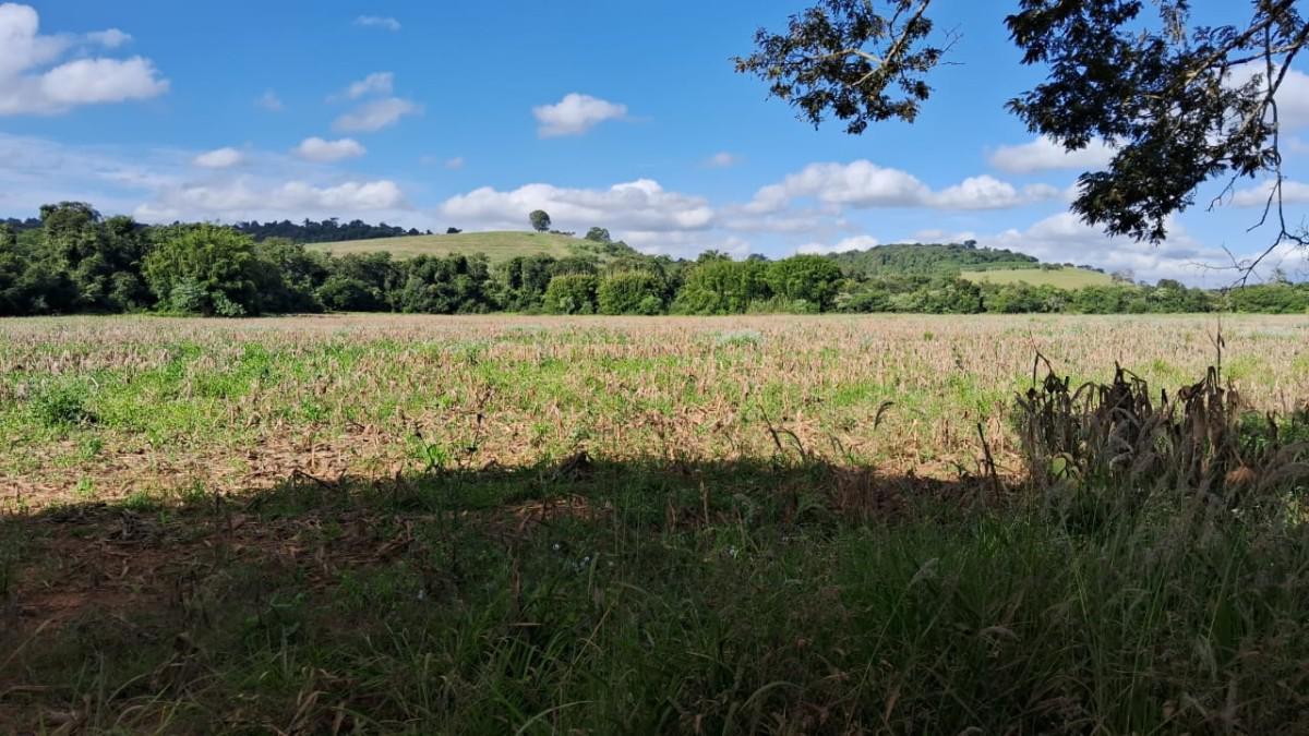 Fazenda, Centro, 0 Quarto, 0 Vaga