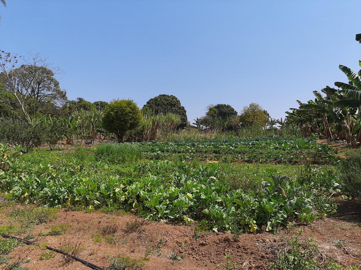 Lote, Manoa, 0 Quarto, 0 Vaga