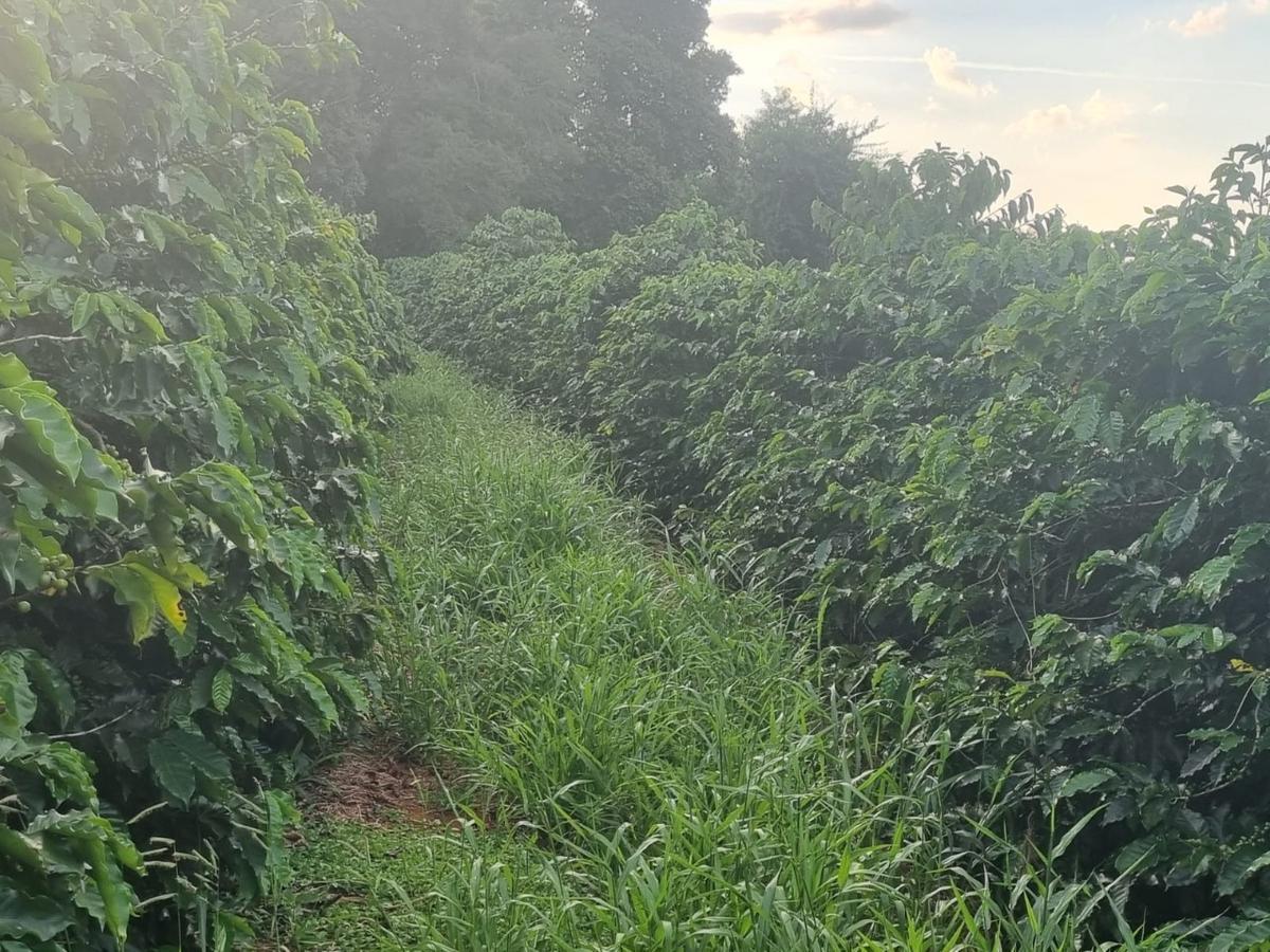Fazenda, Zona Rural, 0 Quarto, 0 Vaga