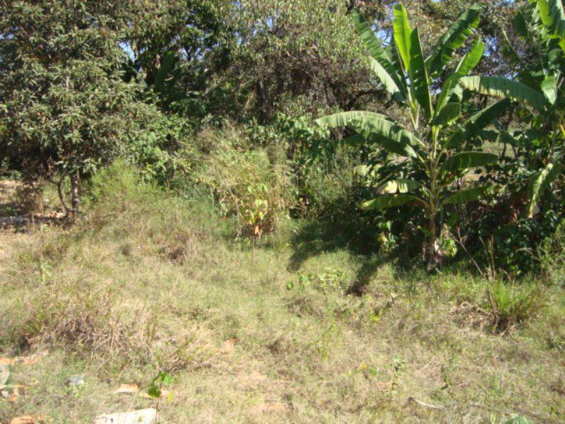 Lote, Nova Pampulha, 0 Quarto, 0 Vaga