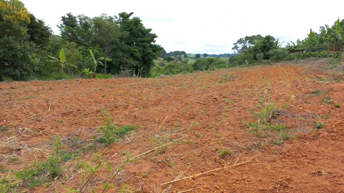 Fazenda, Zona Rural, 0 Quarto, 0 Vaga