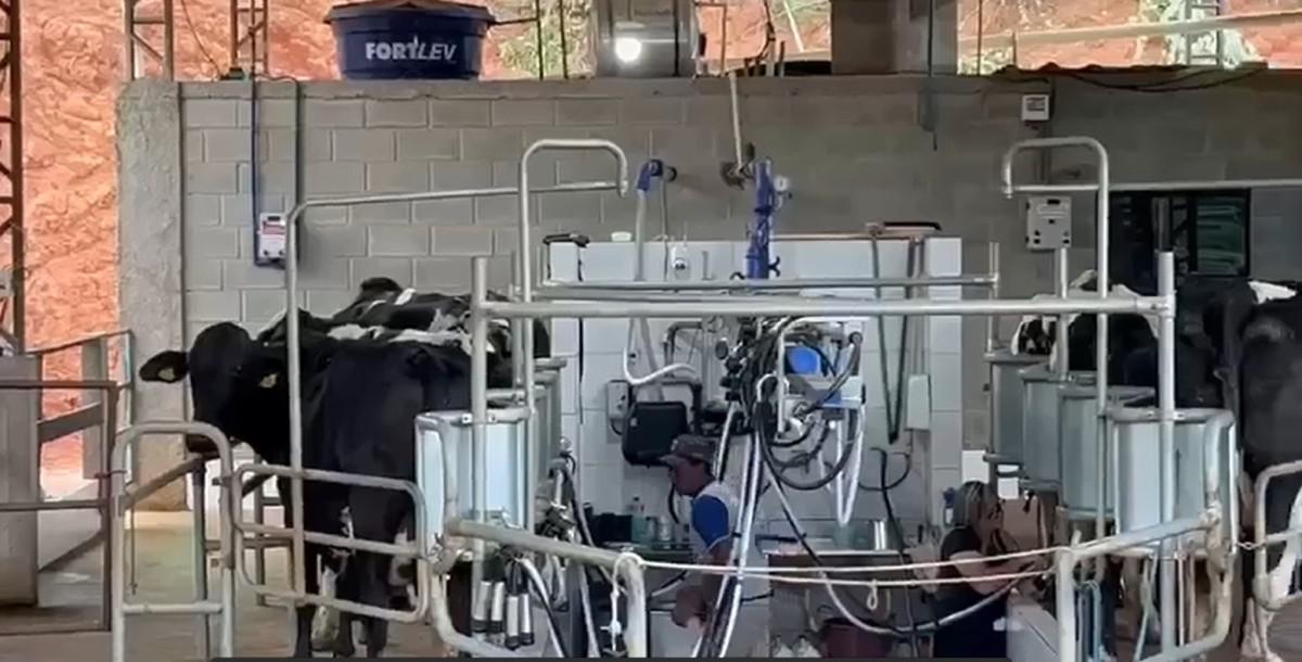 Fazenda, Area Rural de Juiz de Fora, 0 Quarto, 0 Vaga