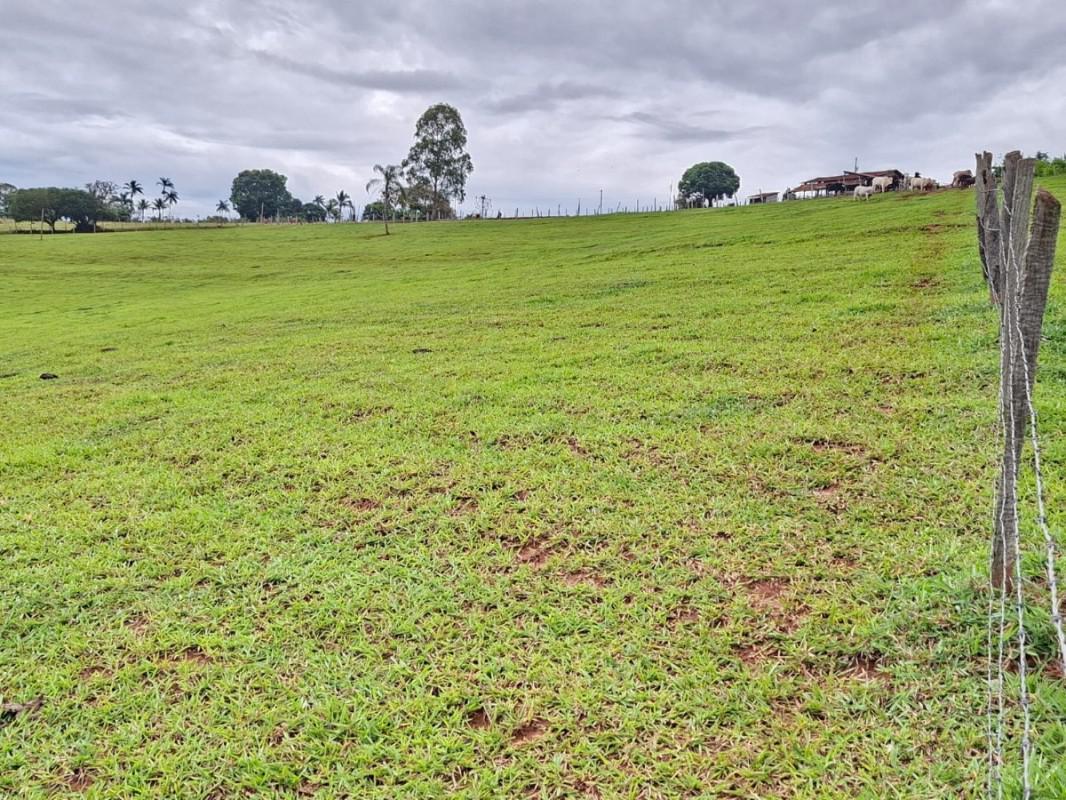 Fazenda, Zona Rural, 0 Quarto, 0 Vaga