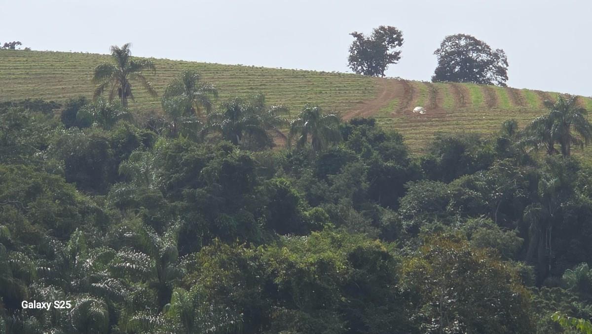 Fazenda, Zona Rural, 0 Quarto, 0 Vaga