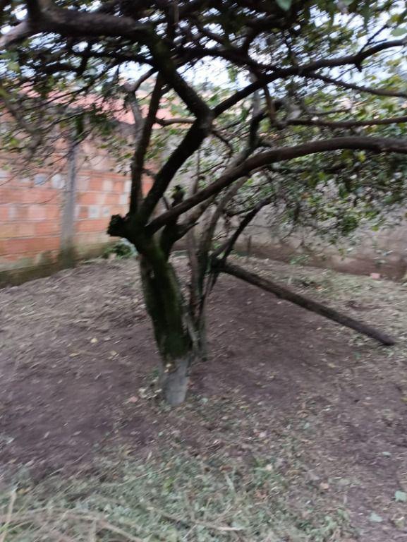 Lote, Pedra Branca, 0 Quarto, 0 Vaga