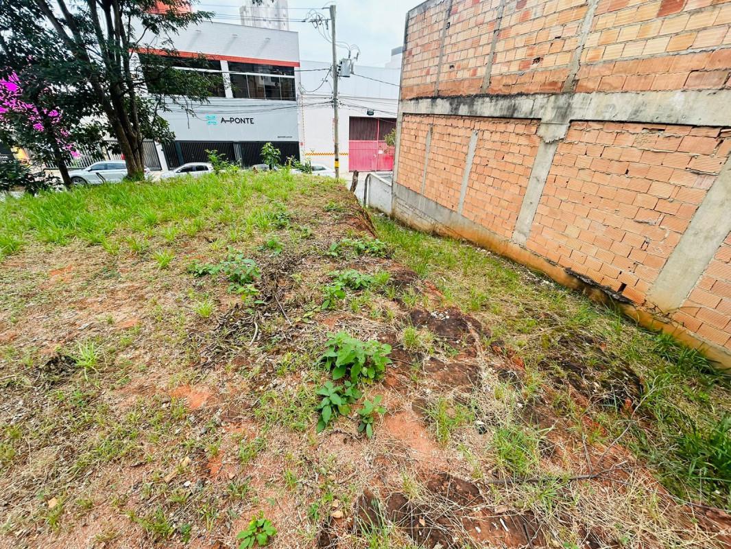 Lote, Castelo, 0 Quarto, 0 Vaga