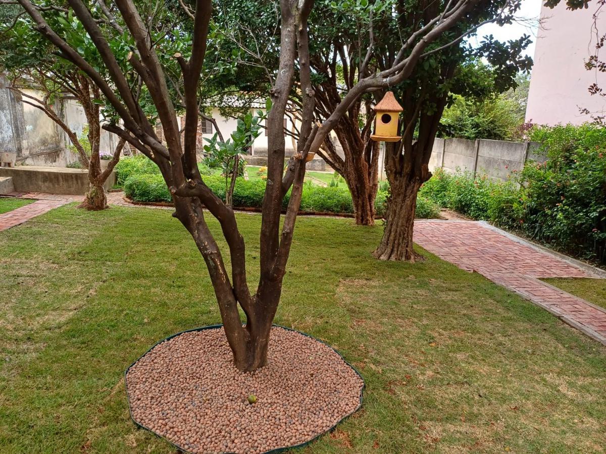 Casa, Colégio Batista, 3 Quartos, 3 Vagas