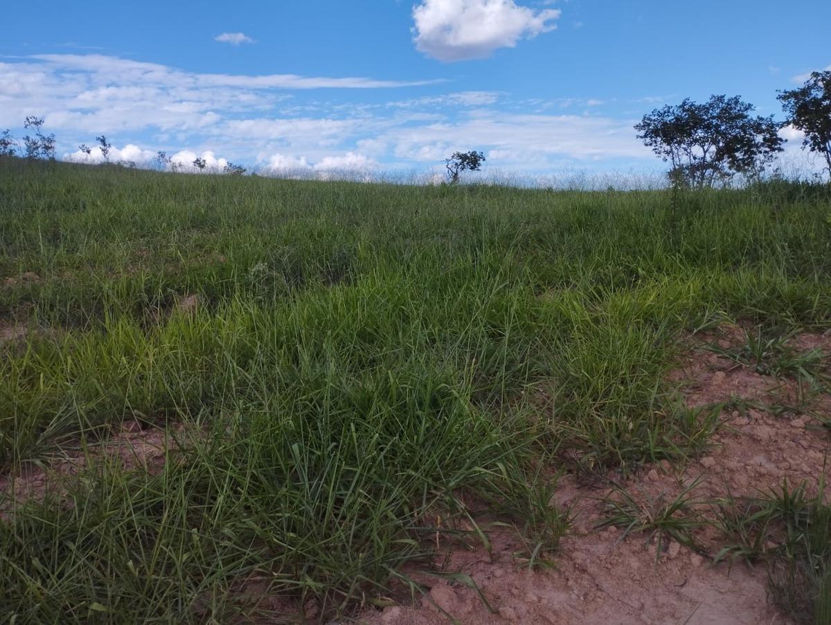 Fazenda, Zona Rural, 3 Quartos, 0 Vaga