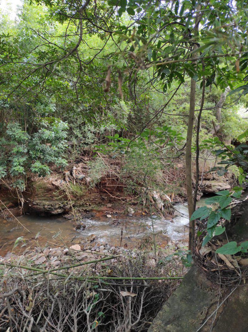 Fazenda, Centro, 6 Quartos, 0 Vaga, 1 Suíte