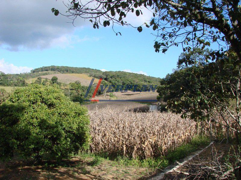 Rural, Peixoto, 5 Quartos, 8 Vagas, 4 Suítes