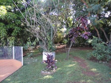 Lote, Lua Nova da Pampulha