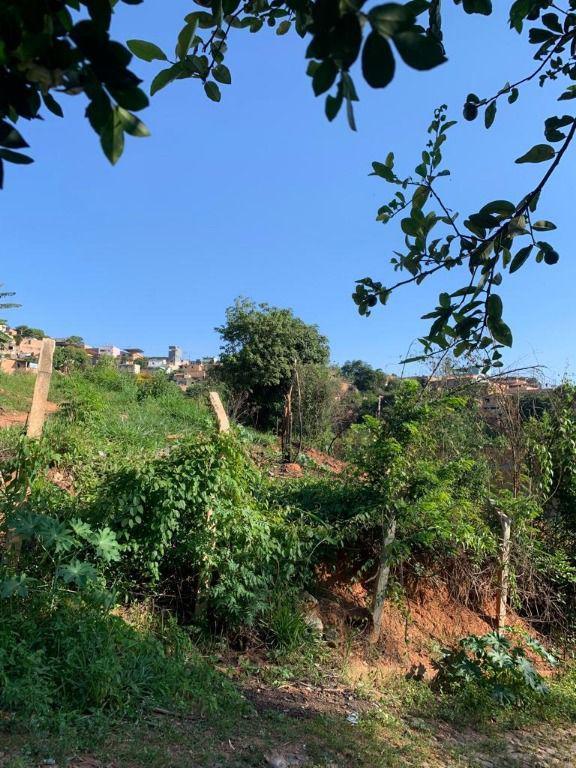 Lote, Rosário, 0 Quarto, 0 Vaga