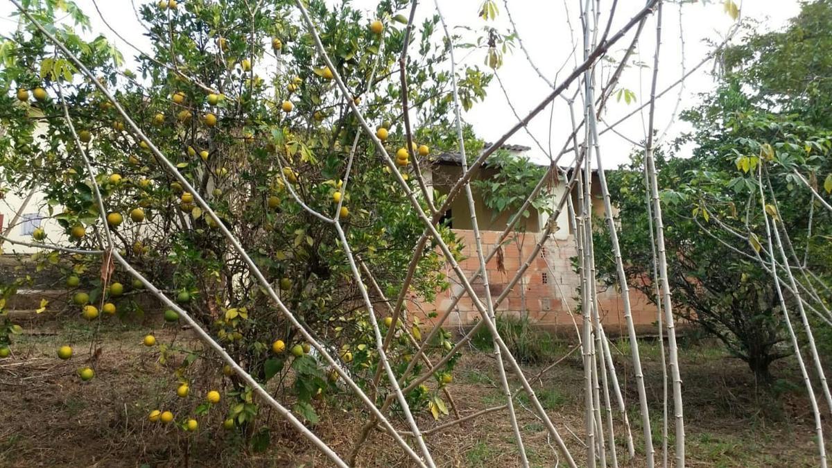 Fazenda, Zona Rural, 4 Quartos, 0 Vaga