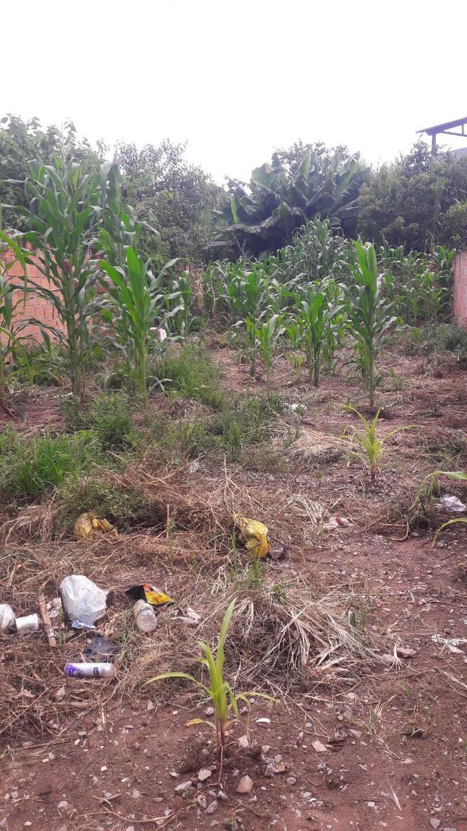 Lote, Vila Barroquinha, 0 Quarto, 0 Vaga