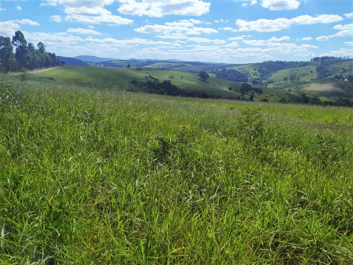 Fazenda, Centro, 2 Quartos, 1 Vaga, 1 Suíte
