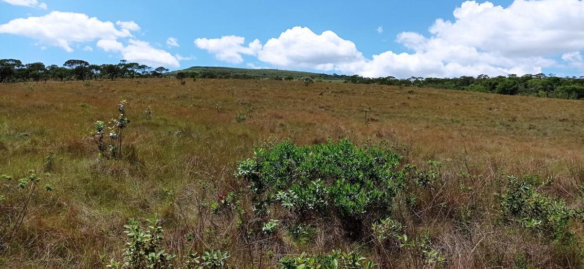 Fazenda, Zona Rural, 0 Quarto, 0 Vaga