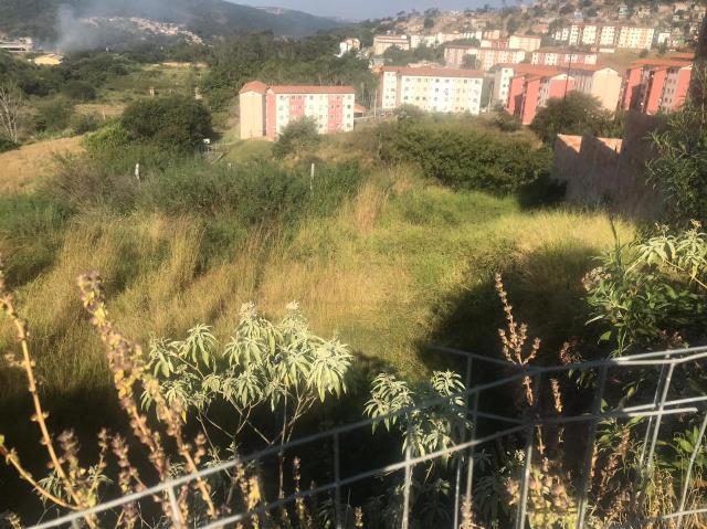 Lote, Jardim Vitória, 0 Quarto, 0 Vaga