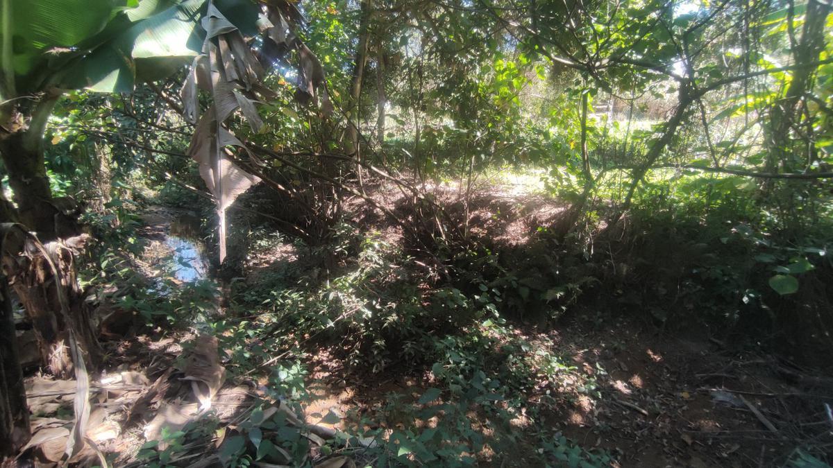 Lote, Centro, 0 Quarto, 0 Vaga