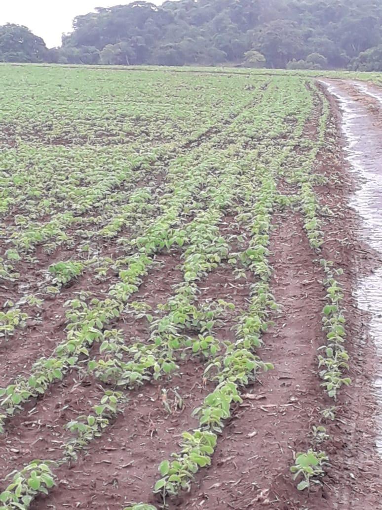 Fazenda, Centro, 1 Quarto, 1 Vaga, 1 Suíte
