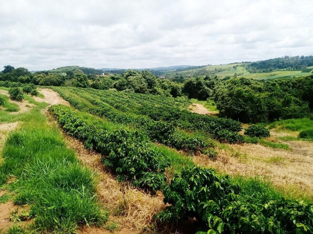 Fazenda, São Sebastião da Estrela, 1 Quarto, 1 Vaga, 1 Suíte
