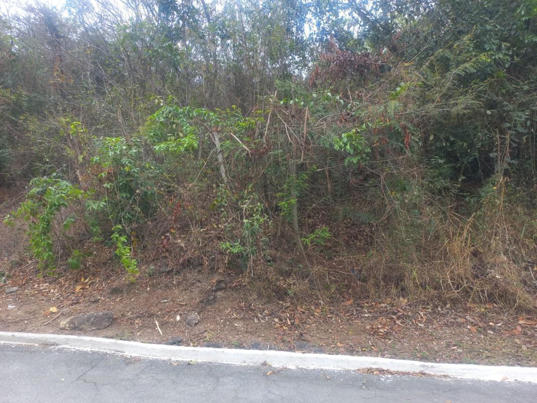 Lote, Gentileza, 0 Quarto, 0 Vaga