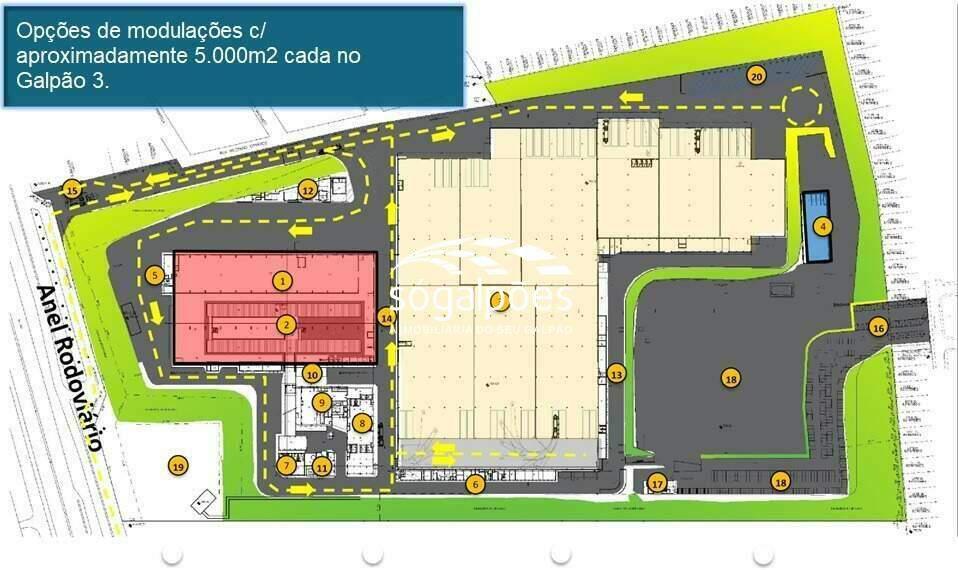 Galpão, Universitário