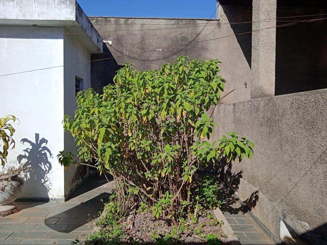 Casa, Nova Cachoeirinha, 3 Quartos, 2 Vagas, 1 Suíte