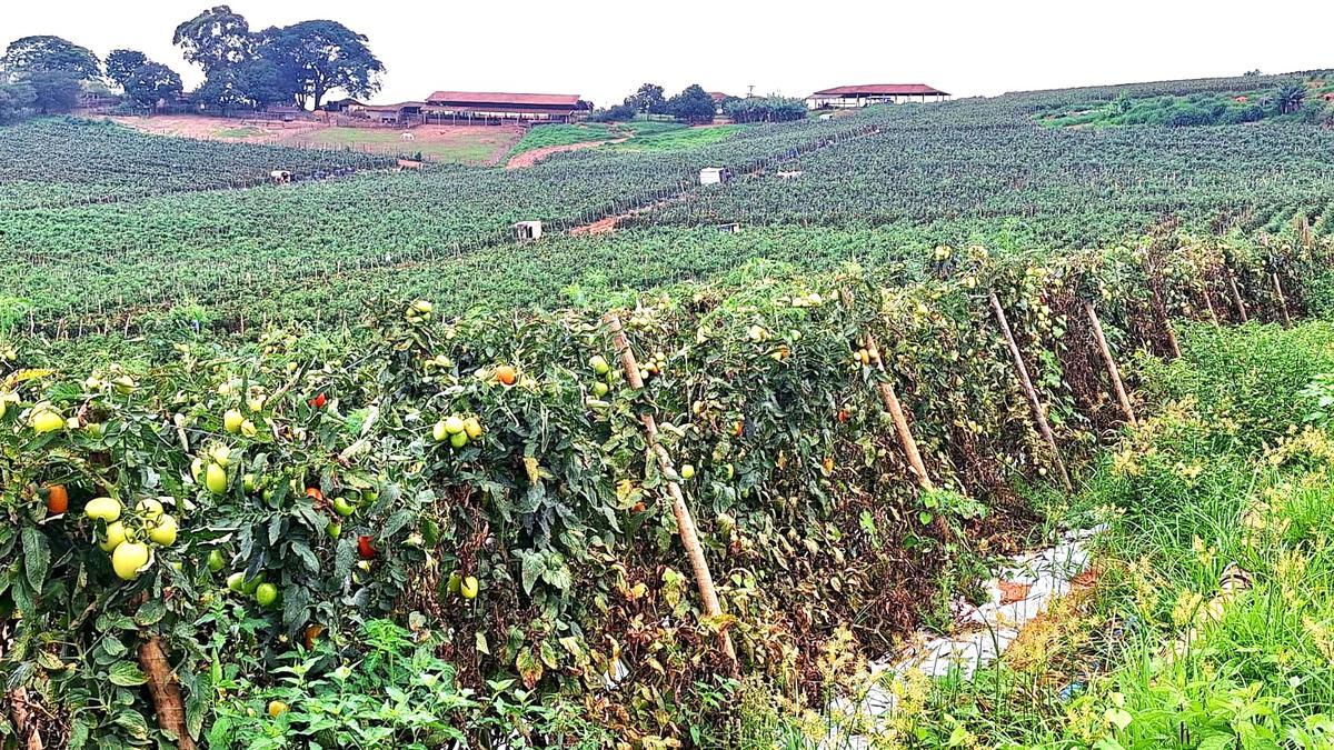 Fazenda, Zona Rural, 3 Quartos, 0 Vaga