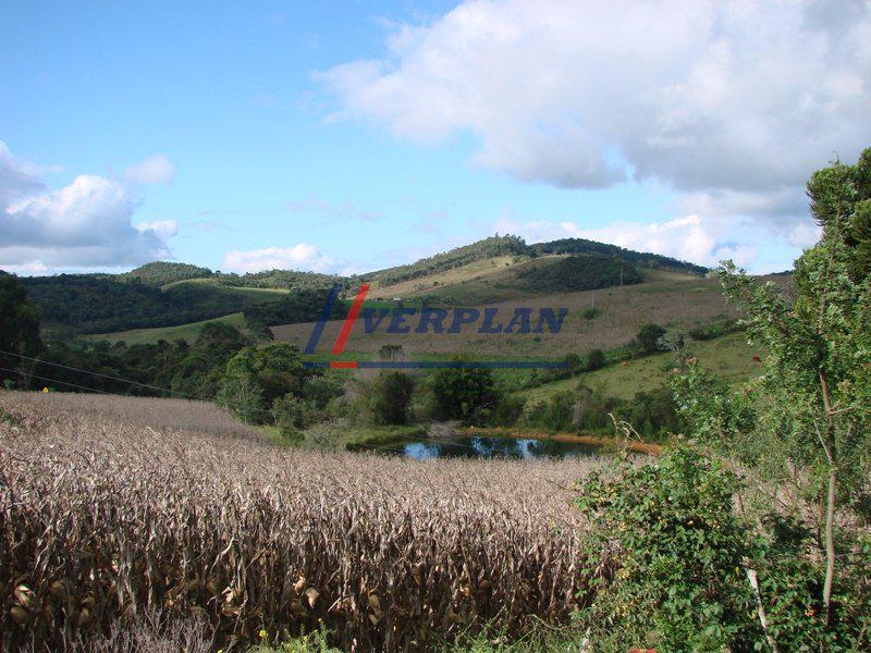 Rural, Peixoto, 5 Quartos, 8 Vagas, 4 Suítes