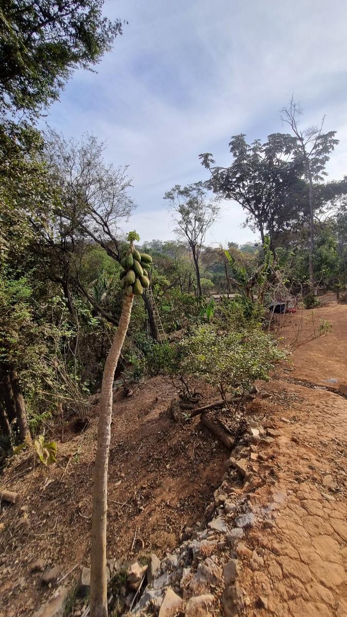 Fazenda, Mario Campos, 3 Quartos, 0 Vaga