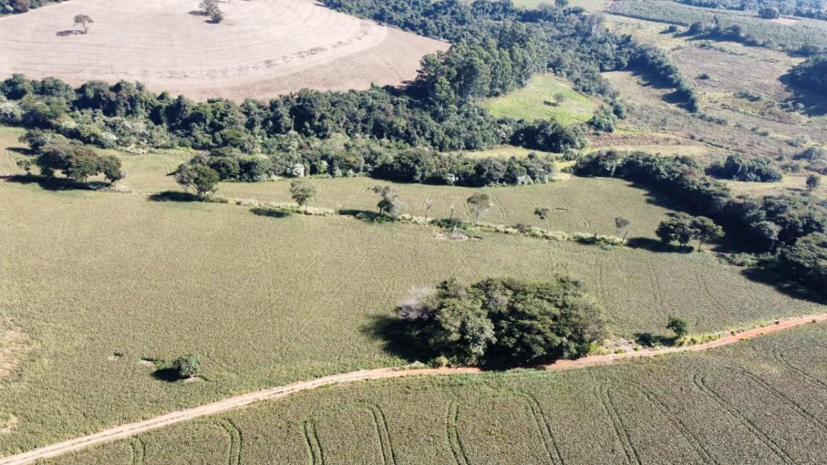Fazenda, Centro, 0 Quarto, 0 Vaga