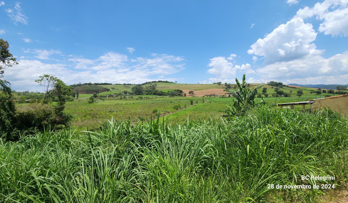 Fazenda, Zona Rural, 3 Quartos, 0 Vaga