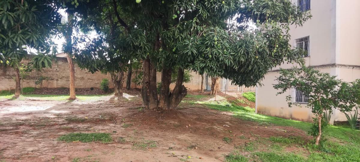Apartamento, São João Batista (venda Nova), 2 Quartos, 1 Vaga