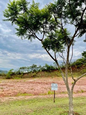 Lote, Pimentas, 0 Quarto, 0 Vaga