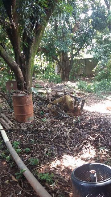 Lote, Betânia, 0 Quarto, 0 Vaga