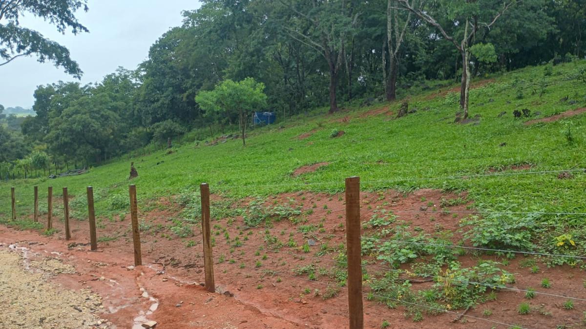 Fazenda, Centro, 3 Quartos, 100 Vagas