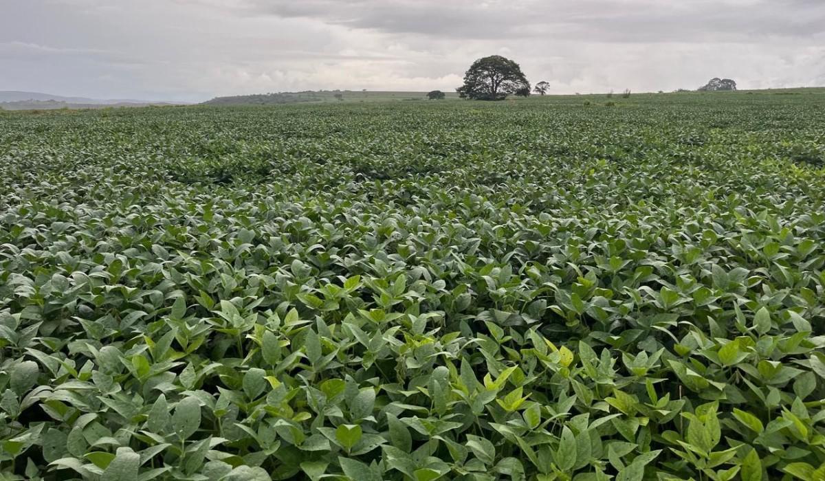 Fazenda, Zona Rural, 0 Quarto, 0 Vaga