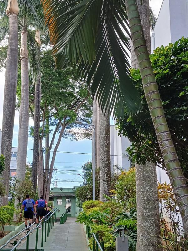 Apartamento, Padre Eustáquio, 3 Quartos, 2 Vagas