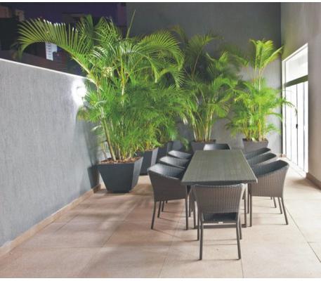 Apartamento, Serra, 3 Quartos, 2 Vagas, 1 Suíte