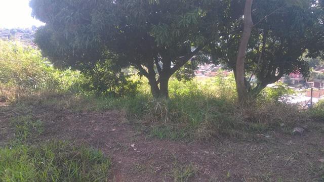 Lote, Serra Dourada, 0 Quarto, 0 Vaga