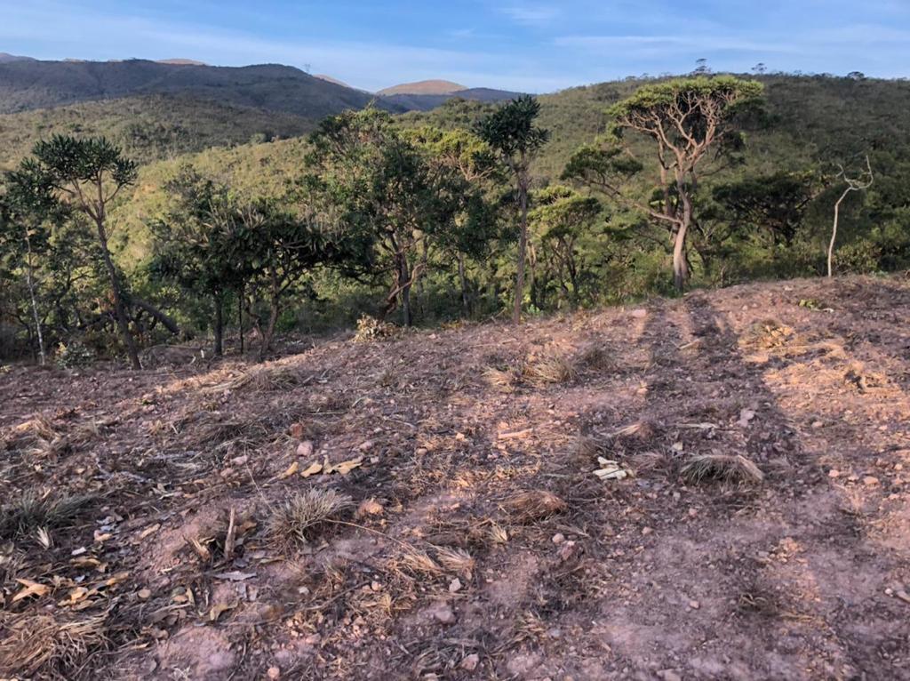 Lote, Arraial Velho, 0 Quarto, 0 Vaga