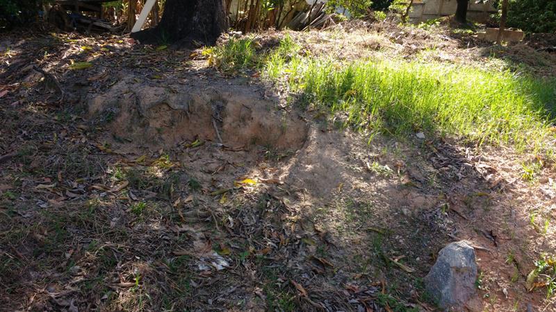 Lote, Alvorada, 0 Quarto, 0 Vaga