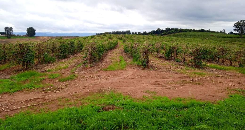 Fazenda, Zona Rural, 1 Quarto, 0 Vaga
