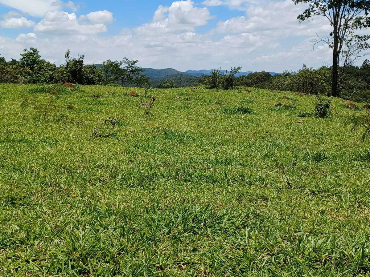 Fazenda, Urucuia, 3 Quartos, 0 Vaga, 1 Suíte