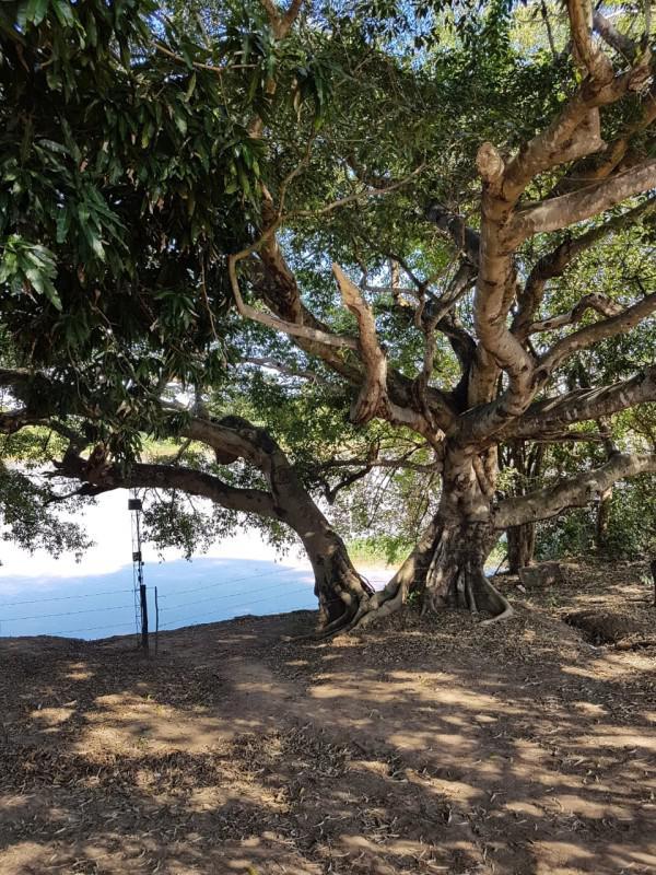 Fazenda, Zona Rural, 0 Quarto, 0 Vaga